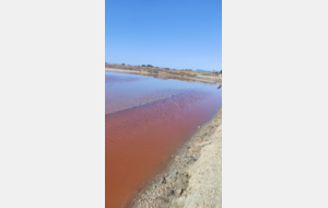 68c4159d258a5_IMG2205.PNG