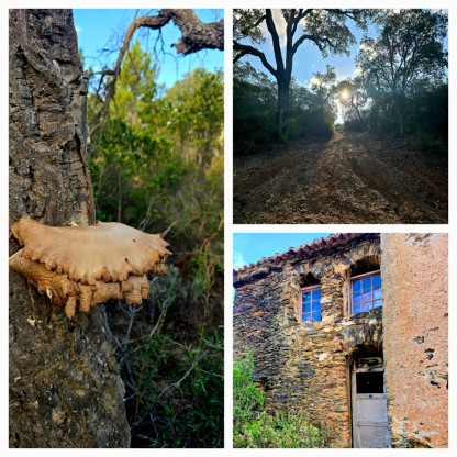 2026 / 22 / 10 Les Escoures